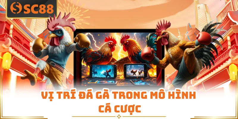 Vị trí đá gà trong mô hình cá cược